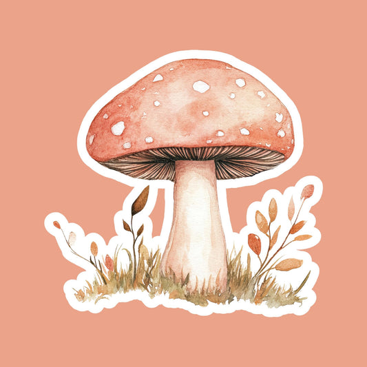 Mushroom Magnet