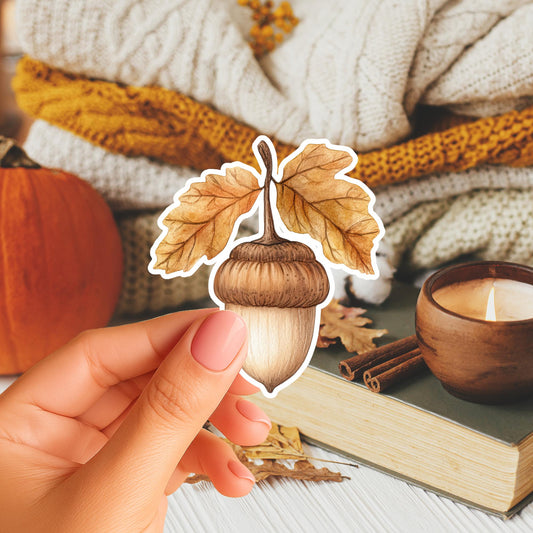 Acorn Magnet