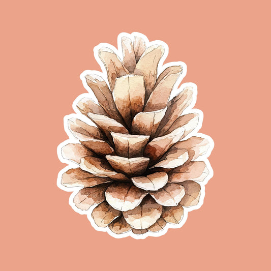 Pinecone Magnet